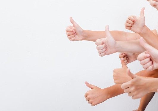 Team participants hands